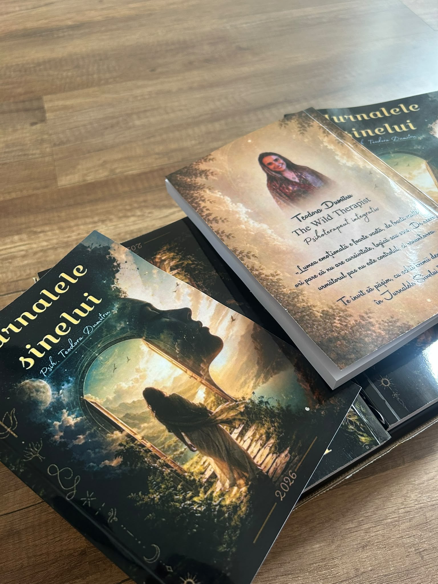 Jurnalele Sinelui - Coperta și pagini